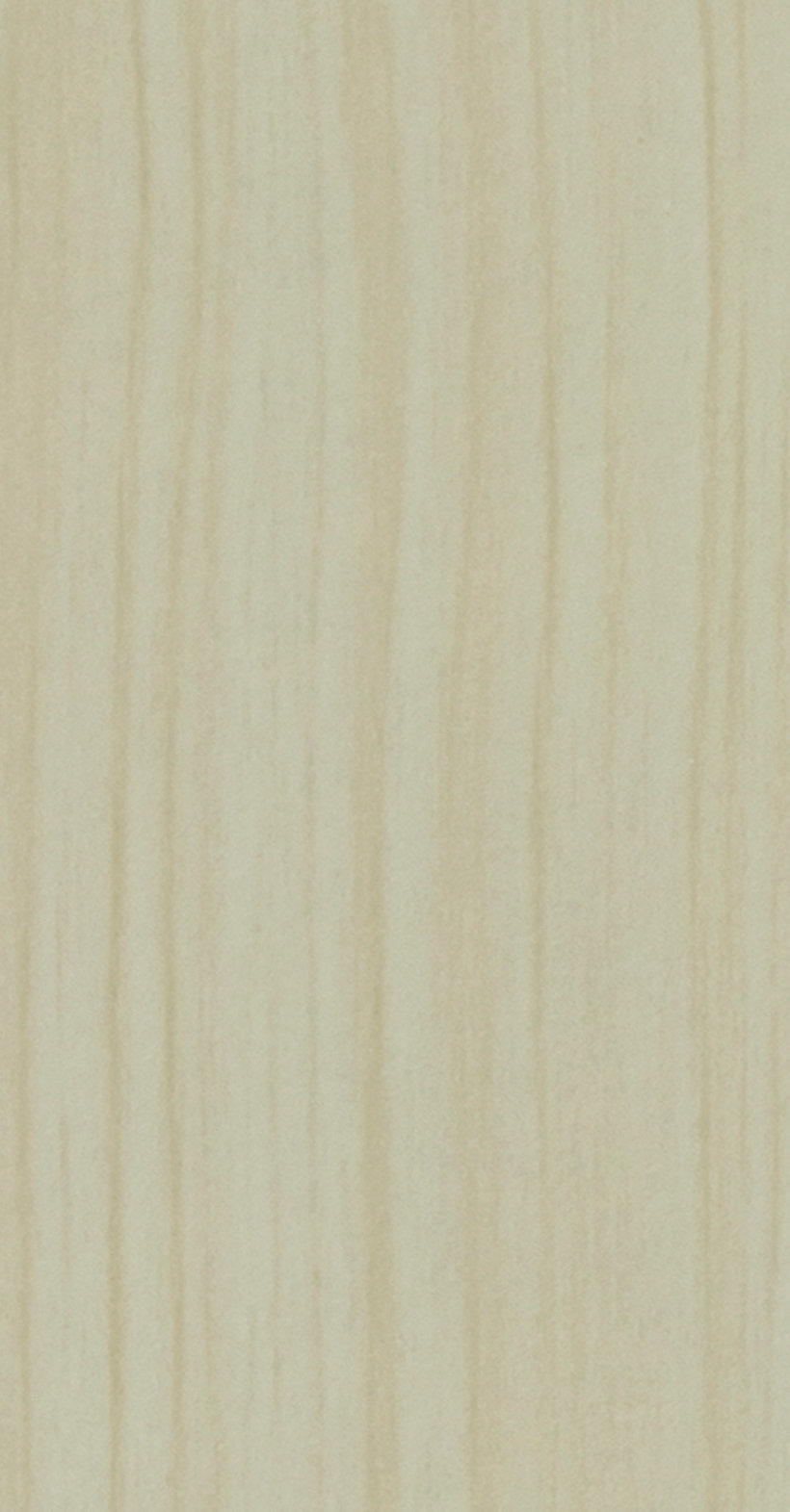 111 - JOLLY MACASSAR